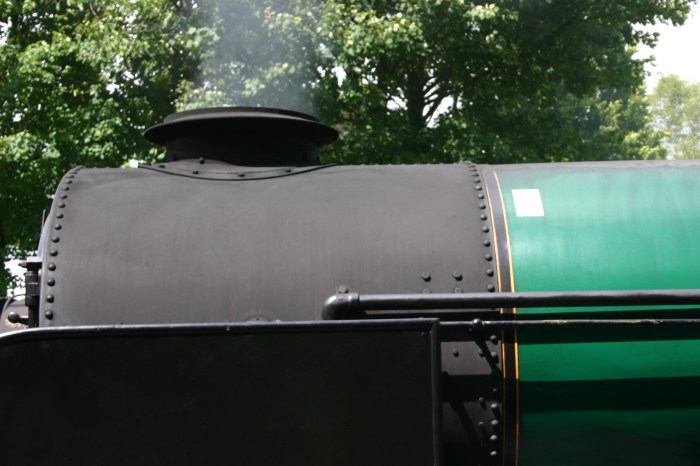 Watercress Railway - Alresford - 850 Lord Nelson (Bulleid chimney Lemaître exhaust) 17 June 2012