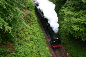 Watercress Line - Boyneswood Road - 31806
