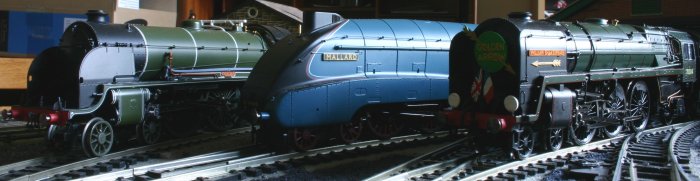 Hornby N15 7MT and A4 - best model locomotives