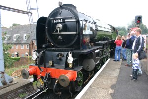 2010 - Watercress Line - Alton - 60163 Tornado