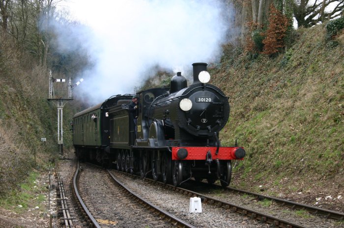 2013 Great Spring Steam Gala - Watercress Line - Medstead & Four Marks - Ex-LSWR T9 class - 30120