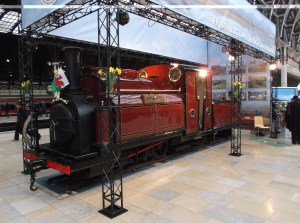 Princess - Paignton Station 2013 - Nick P Littlewood