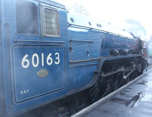 2013 Watercress Line Autumn Steam Spectacular - Ropley - A1 class 60163 Tornado