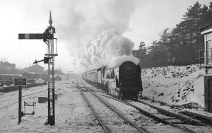 1470212_10152053134467034_359500039_n