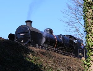 2014 - Watercress Railway - Alton - Ex-Southern Railway U class - 31806
