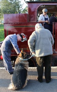 2014 - Watercress Line - Spring Steam Gala - Ropley - Metropolitan Railway E Class - 0-4-4T No 1