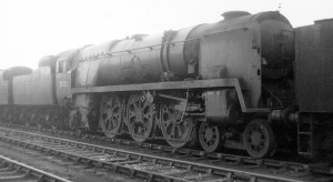 8169619017_bcfe8a2ba1_b