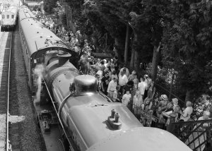 Watercress Festival 2014 Alresford (09) BR ex - Southern Railway U class 31806