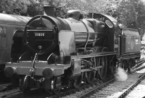 Watercress Festival 2014 Alresford (10) BR ex - Southern Railway U class 31806