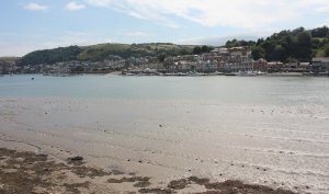 2014 Paignton and Dartmouth Steam Railway - View from Pullman Devon Belle Observation Car River Dart