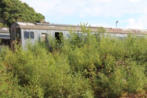 Dartmoor Railway 2014 - Meldon Viaduct (1132 Diesel Electric Multiple Unit (DEMU) 'Thumper' 205028)
