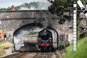 10628300_901664536515173_7696402917676613094_n