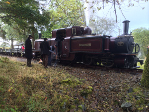 Merddin Emrys at Dduallt