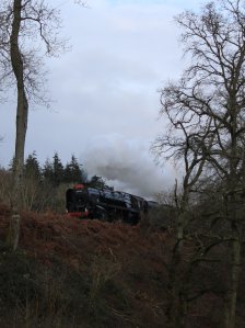 Watercress Railway 2014 A31 (near Medstead and Four Marks) Christmas Santa Specials - BR Standard 9F 92212