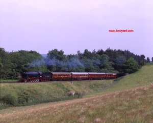 Severn Valley Railway WD class 2-8-0 (LMR) 600 Gordon at milepost 148 - 24th June 1995 by Basil Roberts