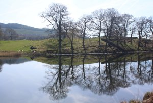 2015 - Lakeside and Haverthwaite Railway