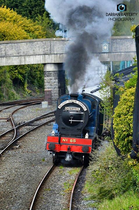 11015955_774515319332359_7985505377786151713_n