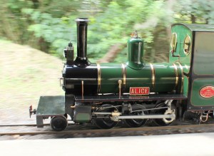 Bickington Steam Railway Trago Mills July 2015 Alice (4)