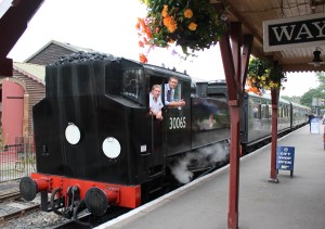 Kent and East Sussex Railway Tenterden August 2015 (18) BR SR USA Dock Tank 30065