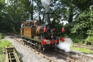 A1X Terrier LBSCR 662 Martello in Steam At Bressingham