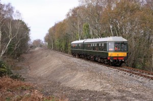 Photo Credit Andrew P.M. Wright