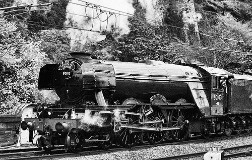 26422860633_8e7aeee351